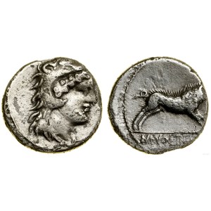 Roman Republic, denarius, (78 B.C.), Rome