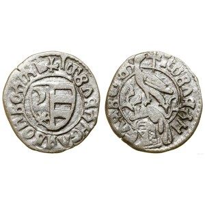 Hospodarstwo Wołoskie, dinar
