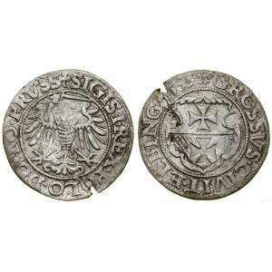 Poland, penny, 1539, Elbląg