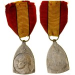 Belgium, 1914-1918 War Commemorative Medal, from 1919