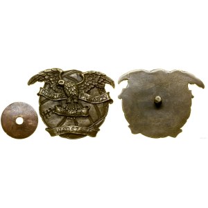 Polonia, distintivo commemorativo