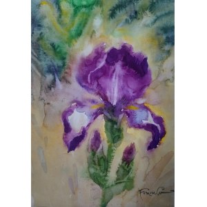 Alesander Franko, Flower.
