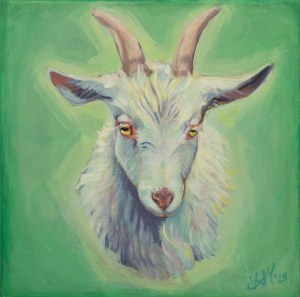 MAGNOLIA PYTKA, Gacek: 2025