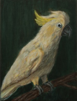 Kowalcze Sabina