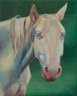 MAGNOLIA PYTKA, Blady: 2026