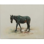 KORNELIA KALISZ, Dancer: 2026