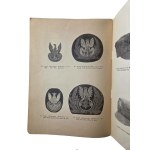 L'aquila militare polacca del XX secolo, INFORMATOR Wystawy w Muzeum Historii Katowic, Katowice 1986