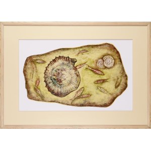 Katherine BLEKIEWICZ (born 1972), Ammonite