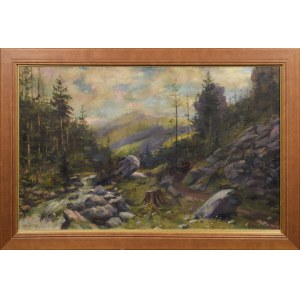 Sylveriusz SASKI (1864-1954), Dans les montagnes