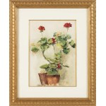 Apolonius Kedzierski (1861-1939), Pelargoniums