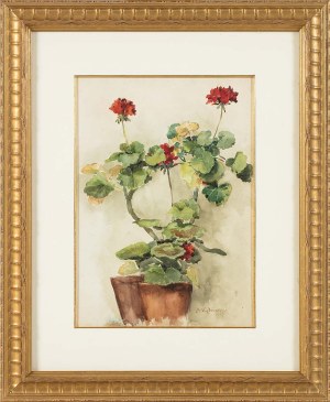 Apoloniusz Kędzierski (1861-1939), Pelargonie