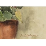 Apolonius Kedzierski (1861-1939), Pelargoniums