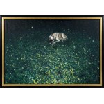 Lukasz Korolkiewicz (b. 1948), Dog, 1981