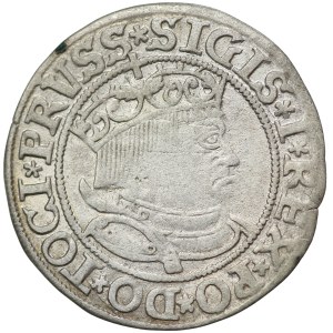 Zygmunt I Stary, Grosz 1533 Toruń PRVSS/PRVSSIE