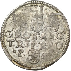 Sigismund III Vasa, Troika 1599 Poznań