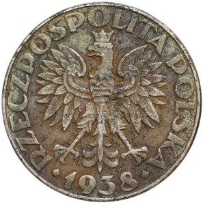 50 Groszy 1938, nieniklowane - bez znaku mennicy