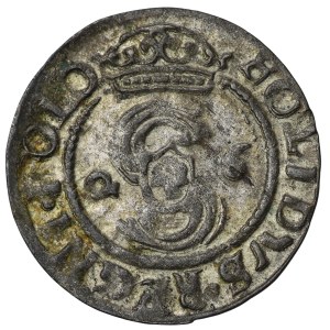 Sigismund III Vasa, 1626 Shellac, Bydgoszcz