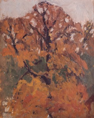 Stanisław Czajkowski (1878 Warszawa - 1954 Sandomierz), Drzewo jesienią