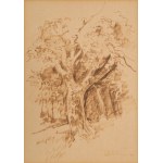 Victor ZIN (1925-2007), "Old Tree."