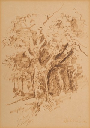 Wiktor ZIN (1925-2007), 