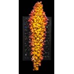 Bartosz Kaczmarczyk, Sleep Now in the Fire, 2026