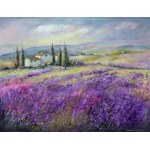 Anna Sandecka-Ląkocy, Sunny Provence, 2026