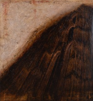 Mariusz Krawczyk (ur. 1967), Kathedral XI, 2005