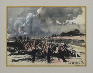 Wiktor ZIN (1925-2007), Wierzby