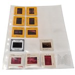 Collection of Slides for OHP Italy / Budapest / Vienna / Poznan