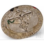 Germany NSFK badge Nationalsozialistisches Fliegerkorps Deustchlandflug 1938 - Copy