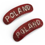 PSZnZ Replica Patches Poland Battledress 2 Polish Corps Aluminum