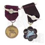 PSZnZ/UK/Holland Commemorative Medals of the Arnhem March, Wandeltocht Parachute, Market Garden, 1SBS