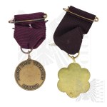 PSZnZ/UK/Holland Commemorative Medals of the Arnhem March, Wandeltocht Parachute, Market Garden, 1SBS