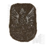 PSZnZ Eagle Painted on Cloth - Camp Performance (?).