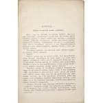 Freytag L.M., LUX IN TENEBRIS, 1923 [kwestia żydowska; ruch narodowy; nacjonalizm; polityka międzywojenna; myśl społeczna; religia; publicystyka; Niewiadomski; Narutowicz; II RP]