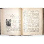 Grabiec, J., THE YEAR 1863, Poznań 1922 [bound, very nice copy]