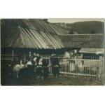 11 HUCULSZCZYZNA - Hutsul homestead, Art. photo by M. Senkowski, Kolomyja 1928, foto czb,