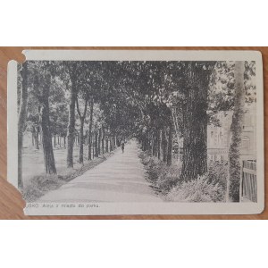 Busko (Zdrój).Avenue from the city to the park