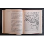 Horodyński D. Jan Cybis Notes on painting.Diaries 1954-1966