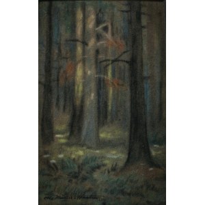 Otto Müller-Hartau, Smrekový les na slnku