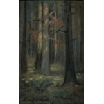 Otto Müller-Hartau, Las świerkowy w słońcu