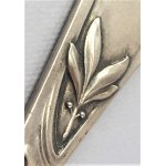 Pate/cake knife, Germany circa 1900.