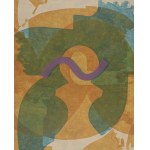 Jarek MANKIEWICZ (1980), INTERFERENCIAS SOL