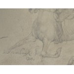 Zygmunt Rozwadowski (1870-1950), Kavallerist, 1916