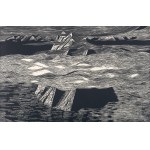 Marta Bożyk, "Glacier," 2016