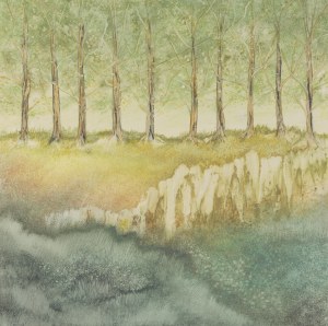 Danuta Kowalska, „Skarpa”, 2007