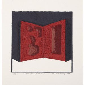 Marcin Surzycki, „Futerały 5”