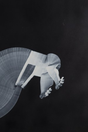 Olga Mokrzycka (ur. 1976), 