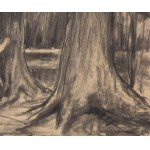 Przemyslaw Matecki (b. 1976, Żagań), Vincent van Gogh (Girl in The White Woods), 2011.