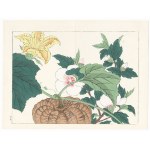 Tomioka Tessai, Pumpkin and Hibiscus